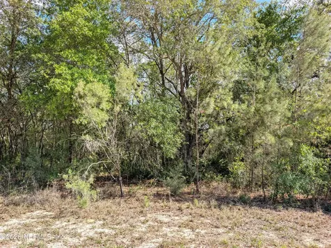 5535 Lassen Street Keystone Heights FL 32656