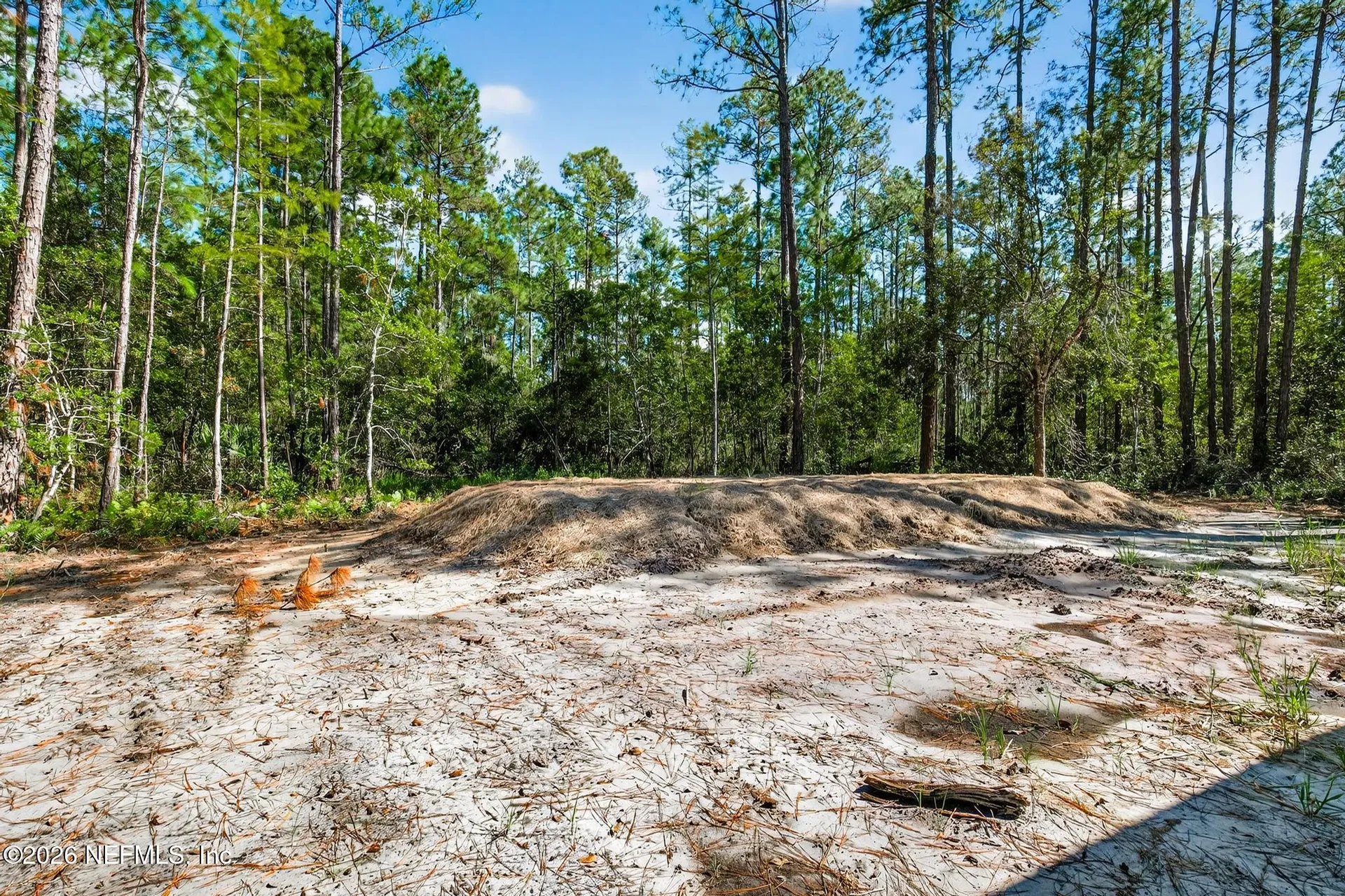 10350 Crotty Avenue Hastings FL 32145