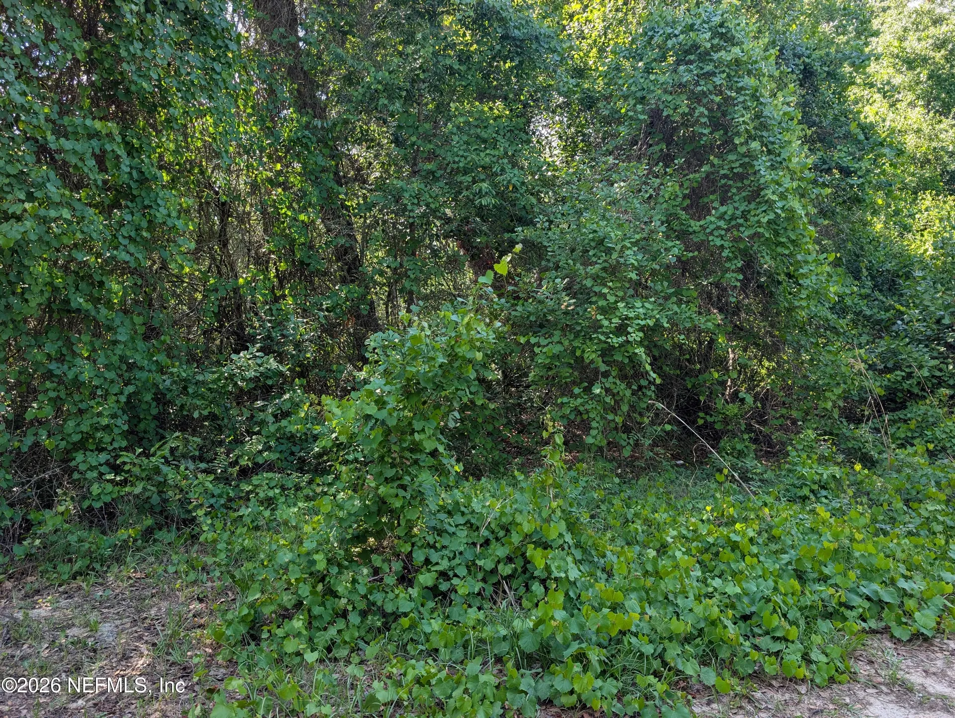 5523 Capulin Street Keystone Heights FL 32656