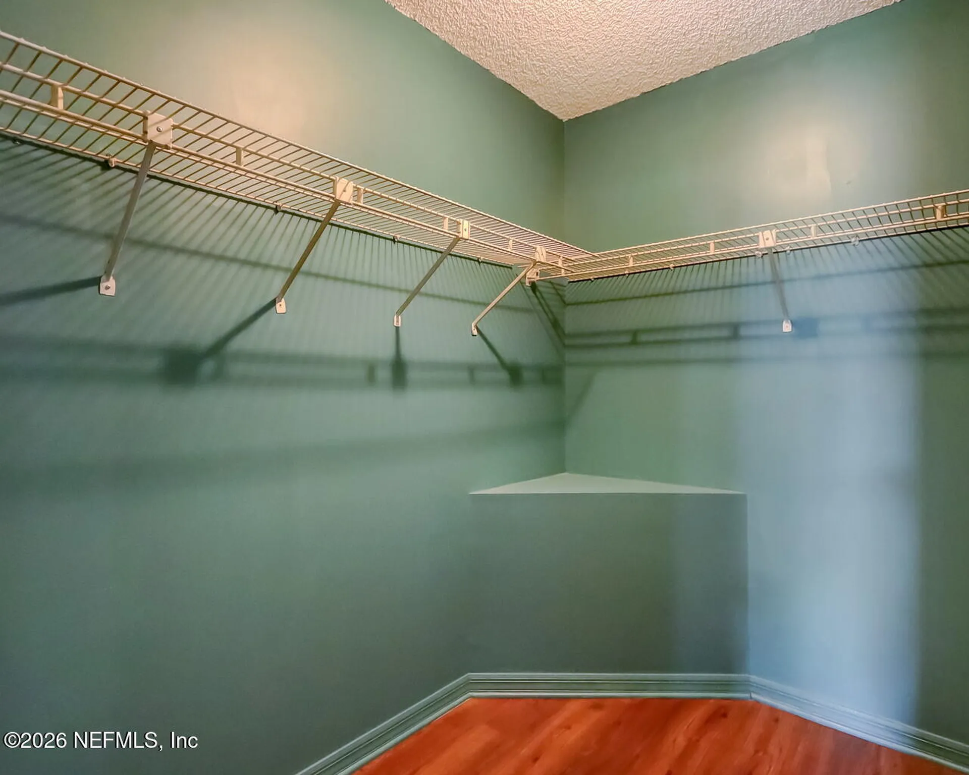 8675 Purslane Place Jacksonville FL 32217