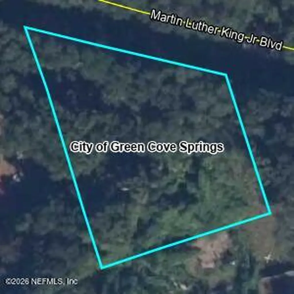 0 Martin Luther King Jr Boulevard Green Cove Springs FL 32043