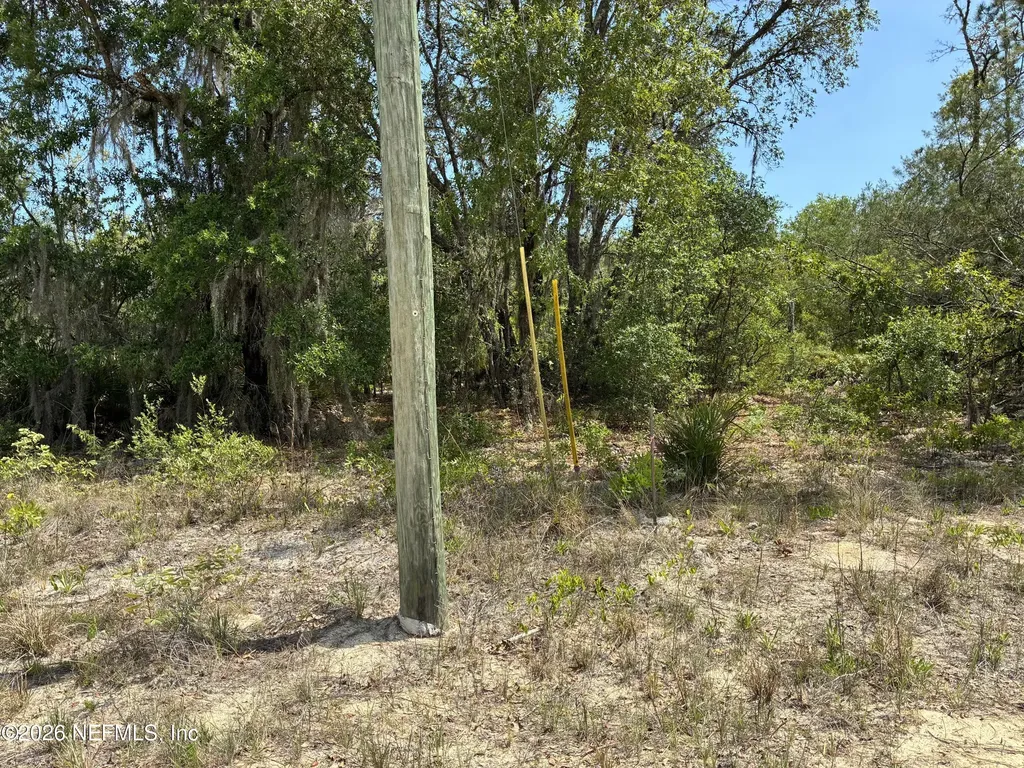 00 Donovan Avenue Interlachen FL 32148