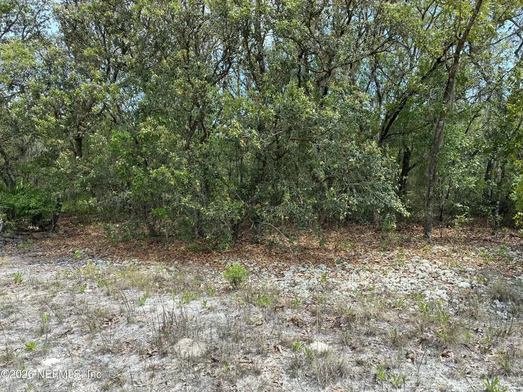 00 Donovan Avenue Interlachen FL 32148
