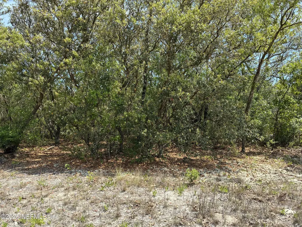 00 Donovan Avenue Interlachen FL 32148