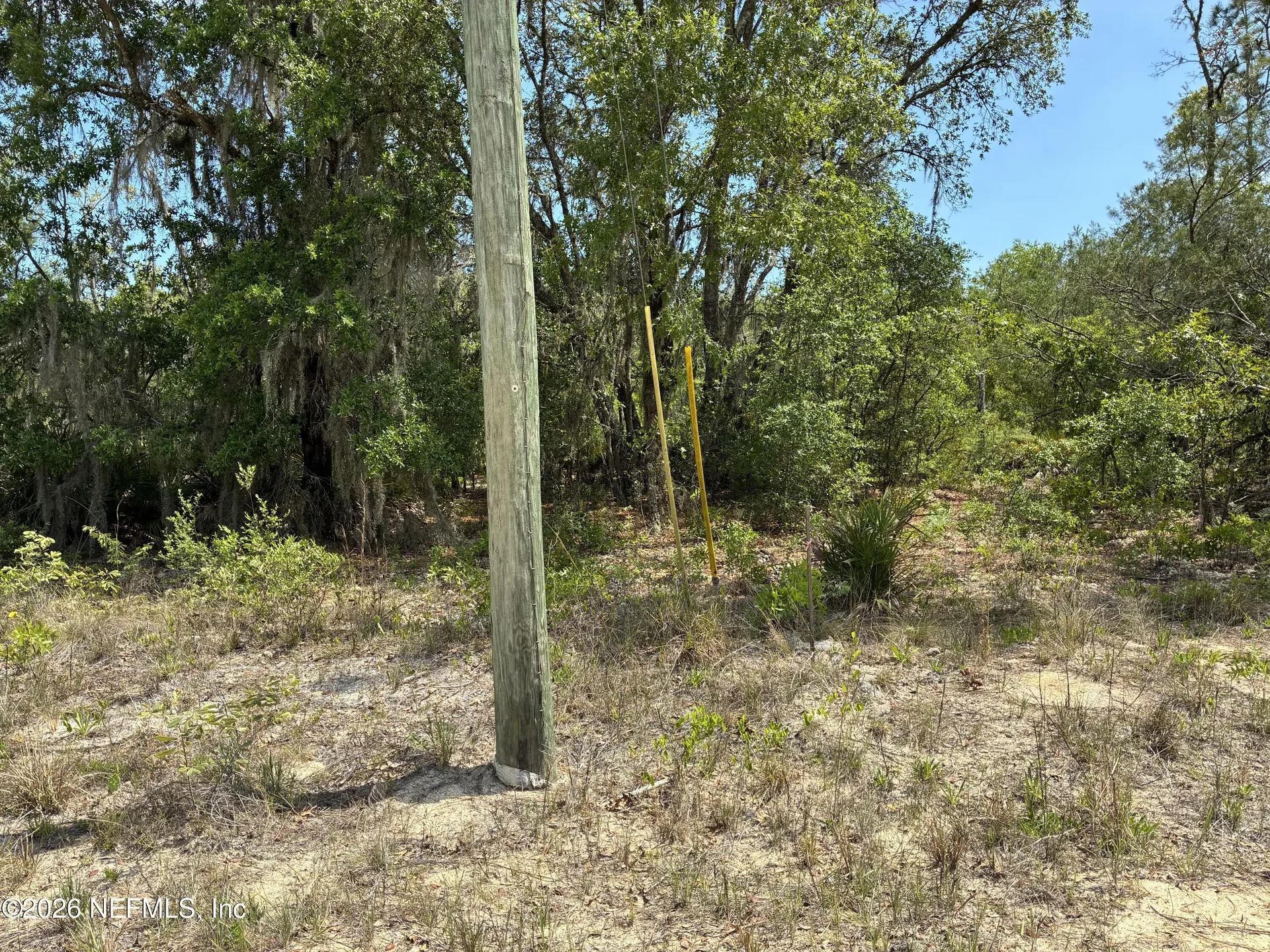 00 Donovan Avenue Interlachen FL 32148