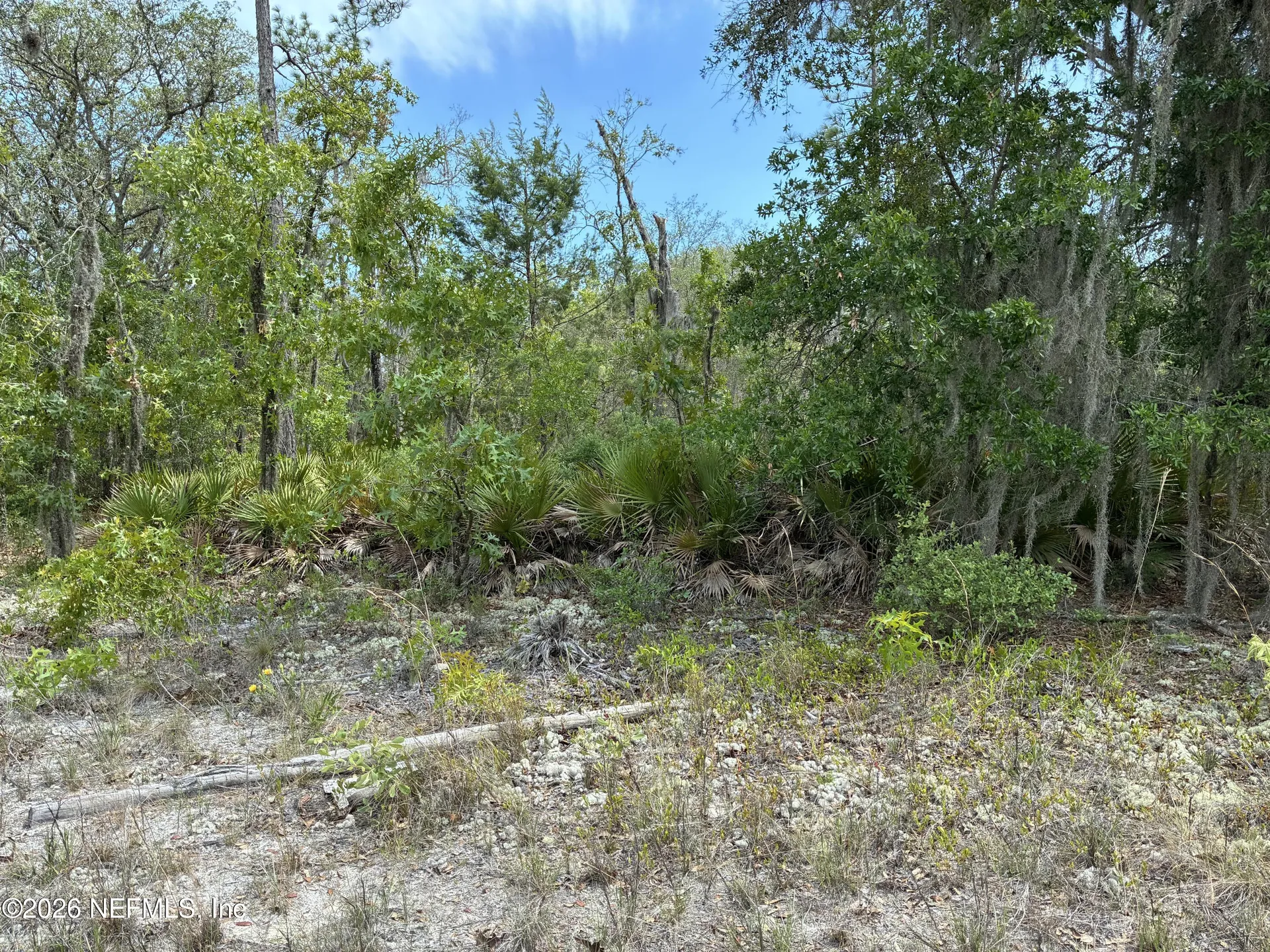 00 Donovan Avenue Interlachen FL 32148