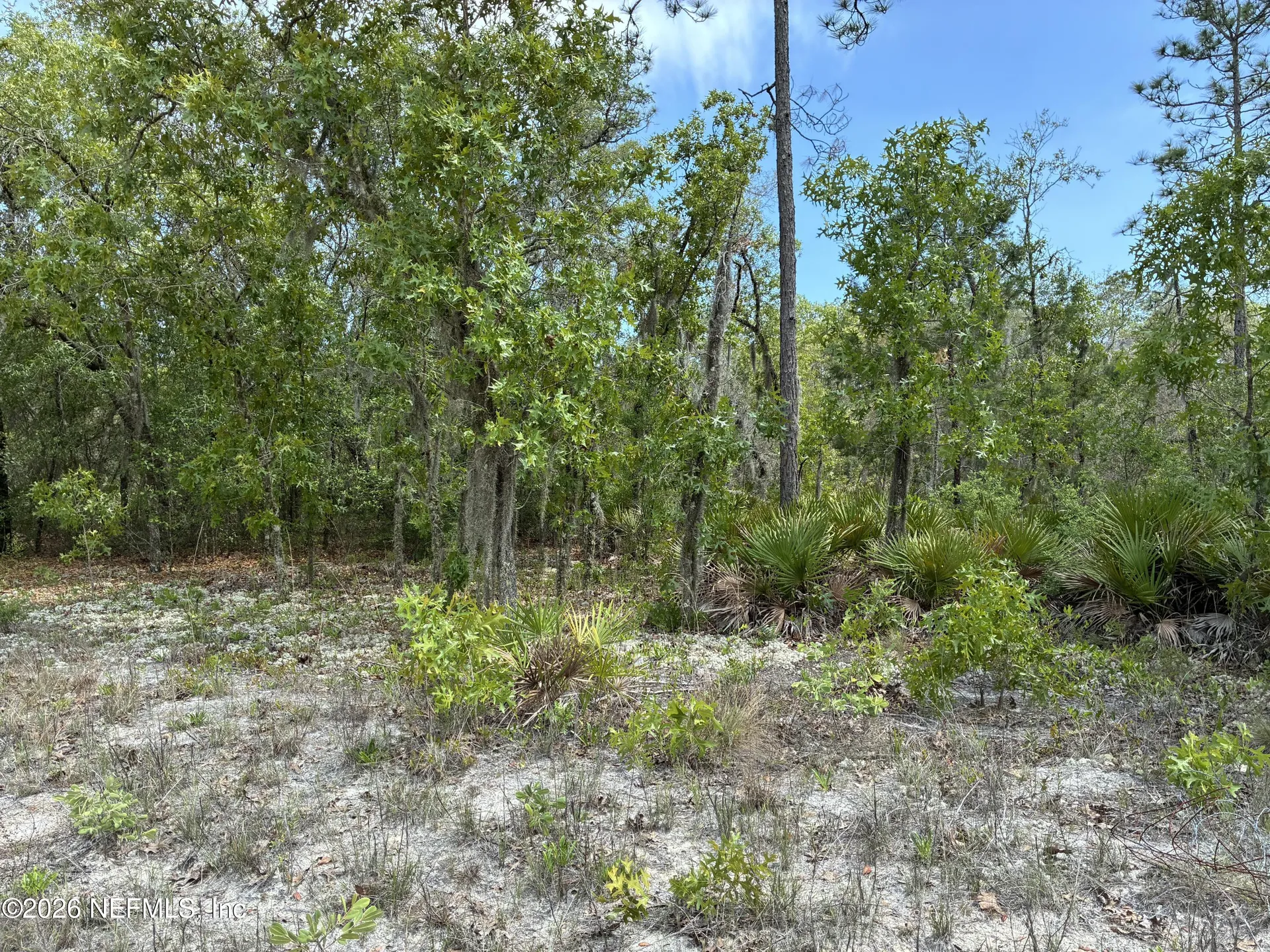 00 Donovan Avenue Interlachen FL 32148