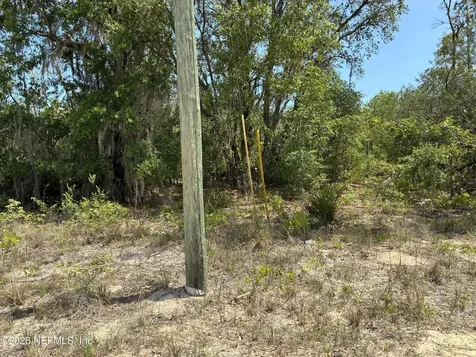 00 Donovan Avenue Interlachen FL 32148