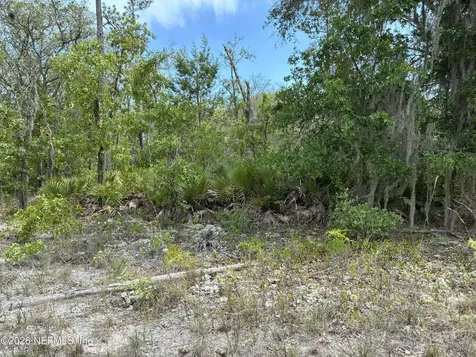 00 Donovan Avenue Interlachen FL 32148