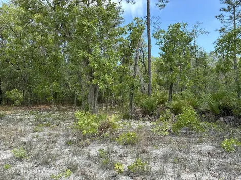 00 Donovan Avenue Interlachen FL 32148