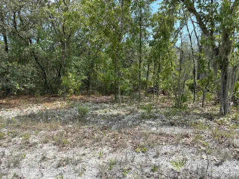 00 Donovan Avenue Interlachen FL 32148