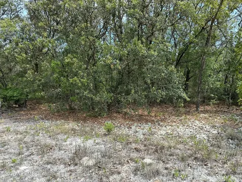 00 Donovan Avenue Interlachen FL 32148