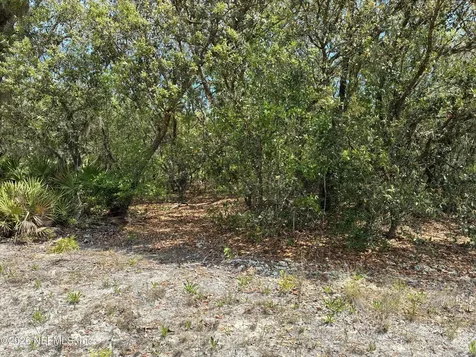 00 Donovan Avenue Interlachen FL 32148