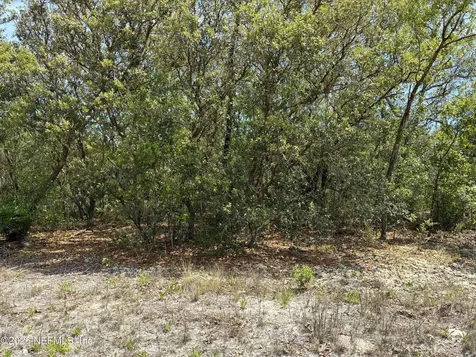 00 Donovan Avenue Interlachen FL 32148