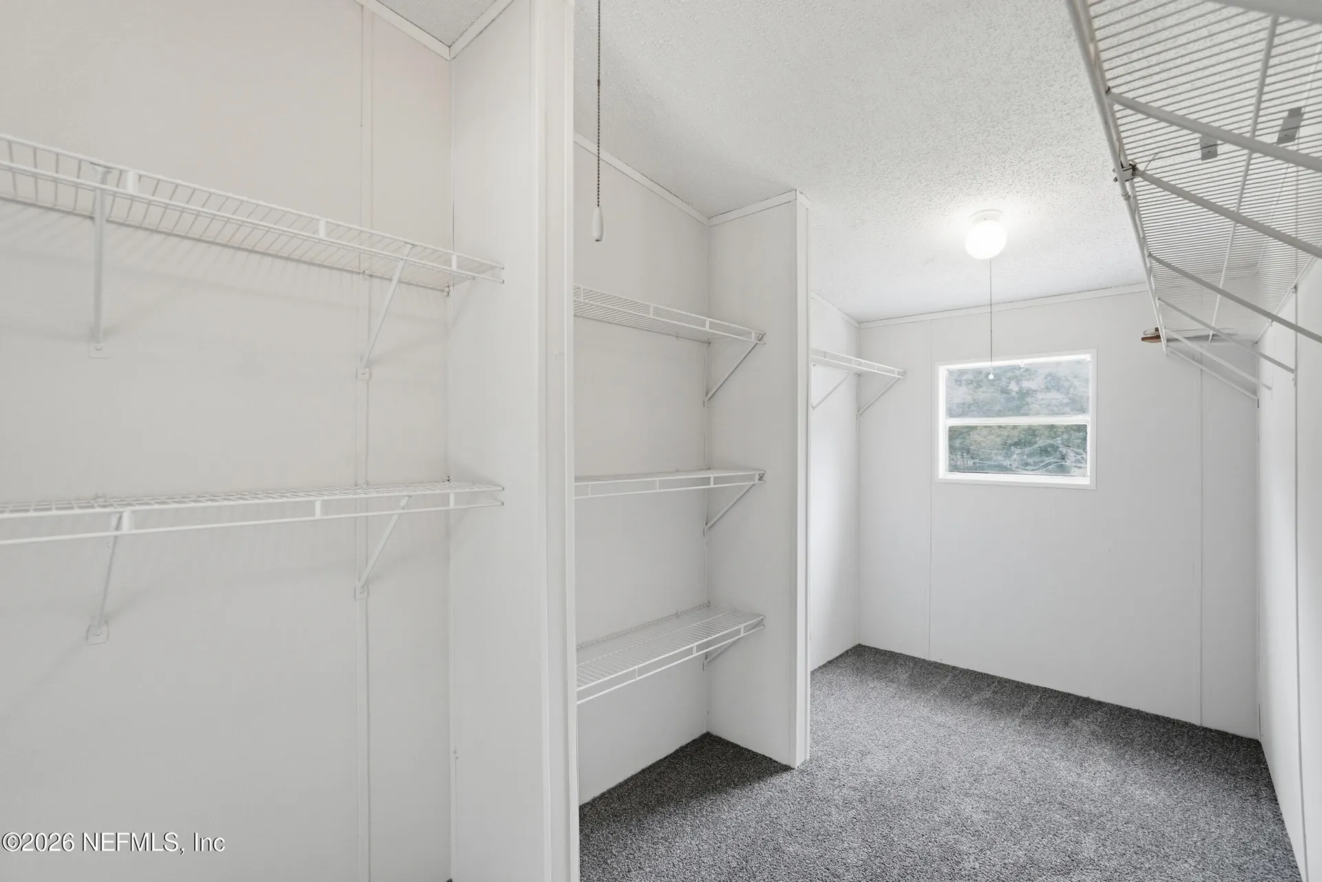 2489 Cosmos Avenue Middleburg FL 32068