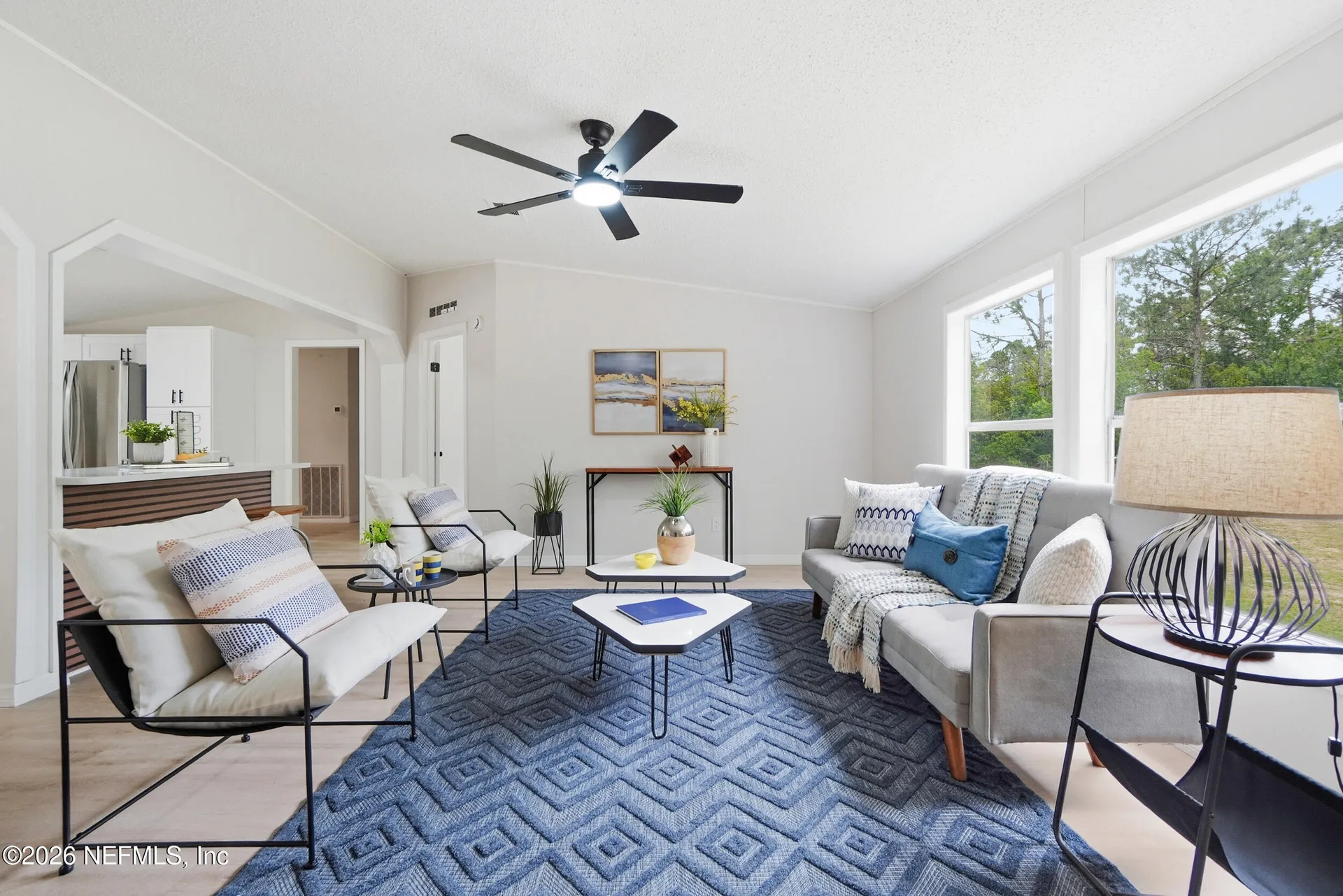 2489 Cosmos Avenue Middleburg FL 32068