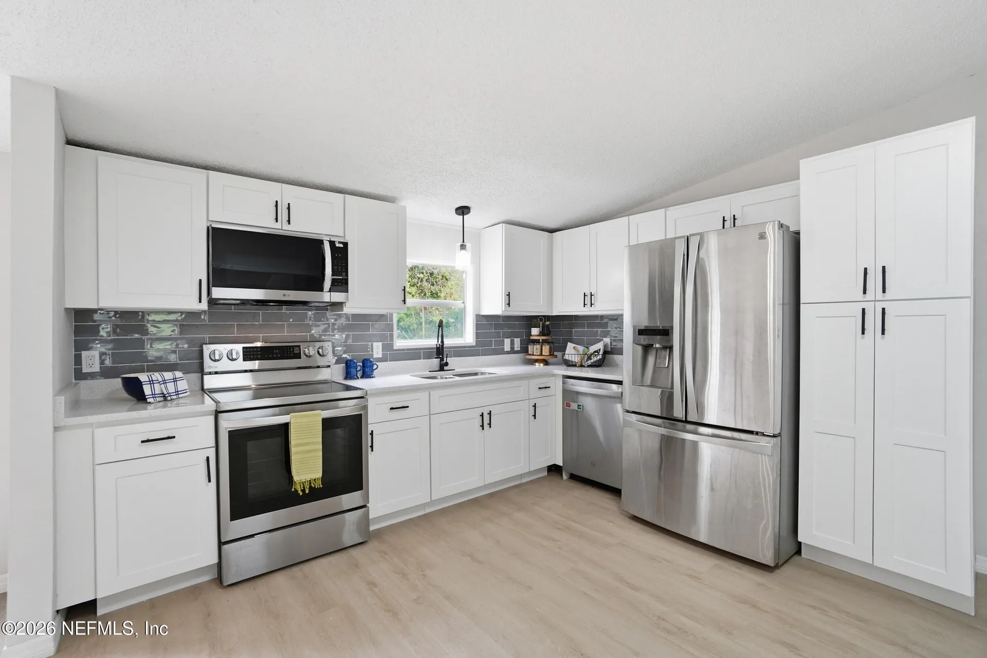2489 Cosmos Avenue Middleburg FL 32068