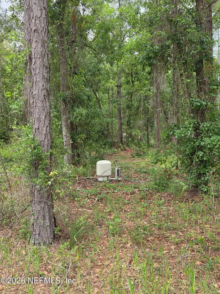 109 Anne Boulevard Georgetown FL 32139