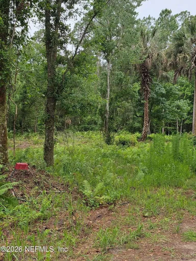 109 Anne Boulevard Georgetown FL 32139