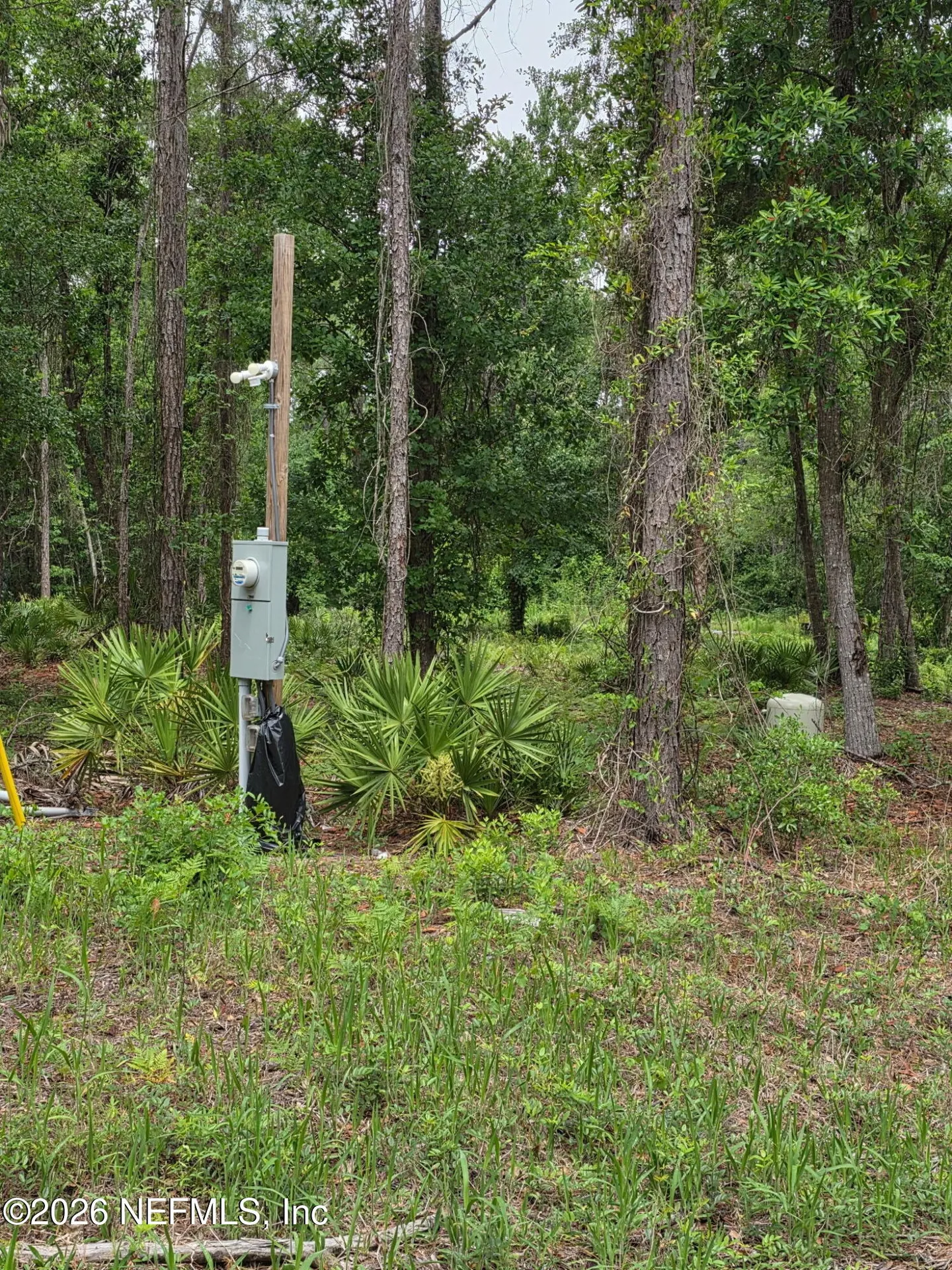 109 Anne Boulevard Georgetown FL 32139