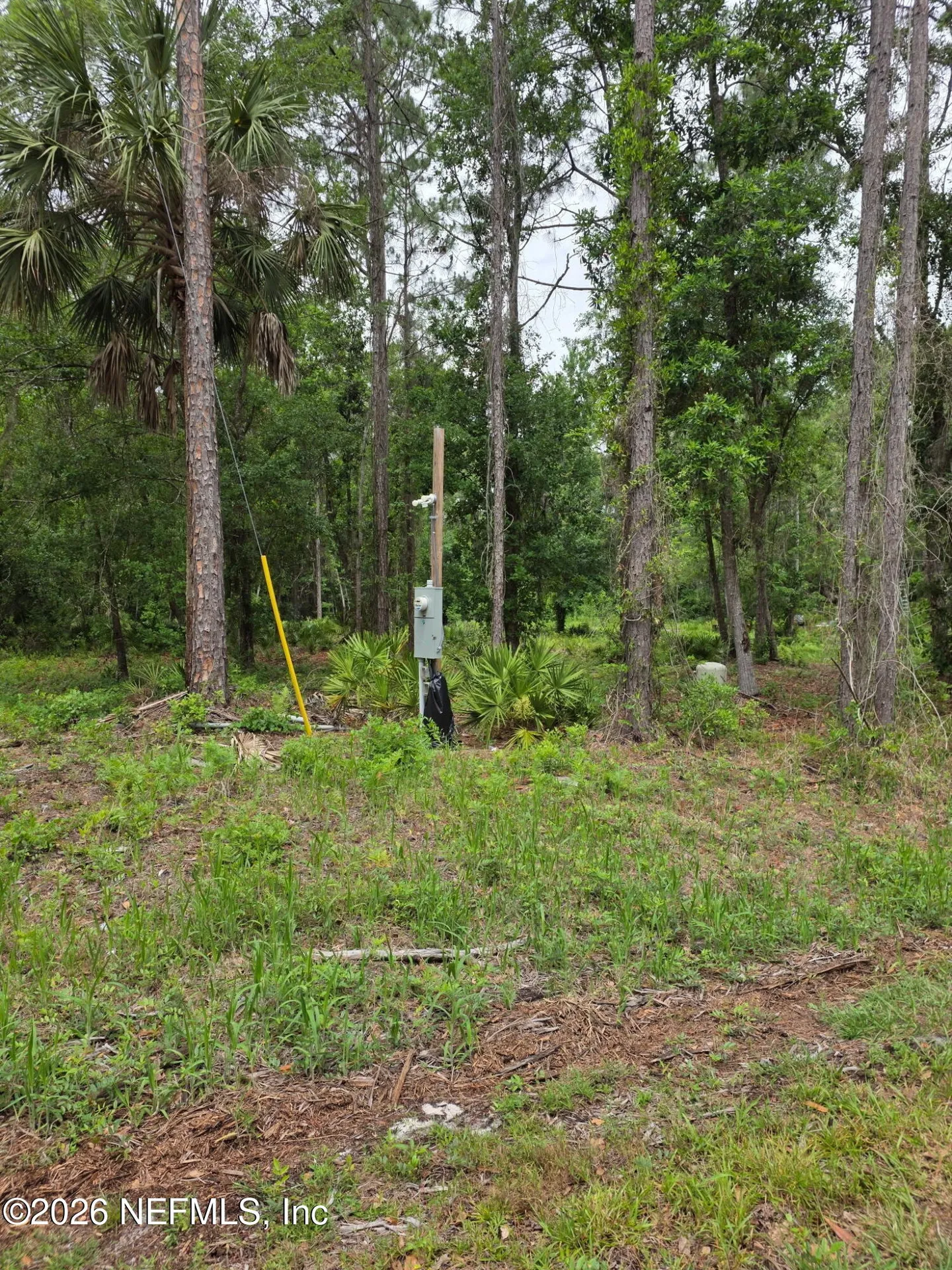 109 Anne Boulevard Georgetown FL 32139