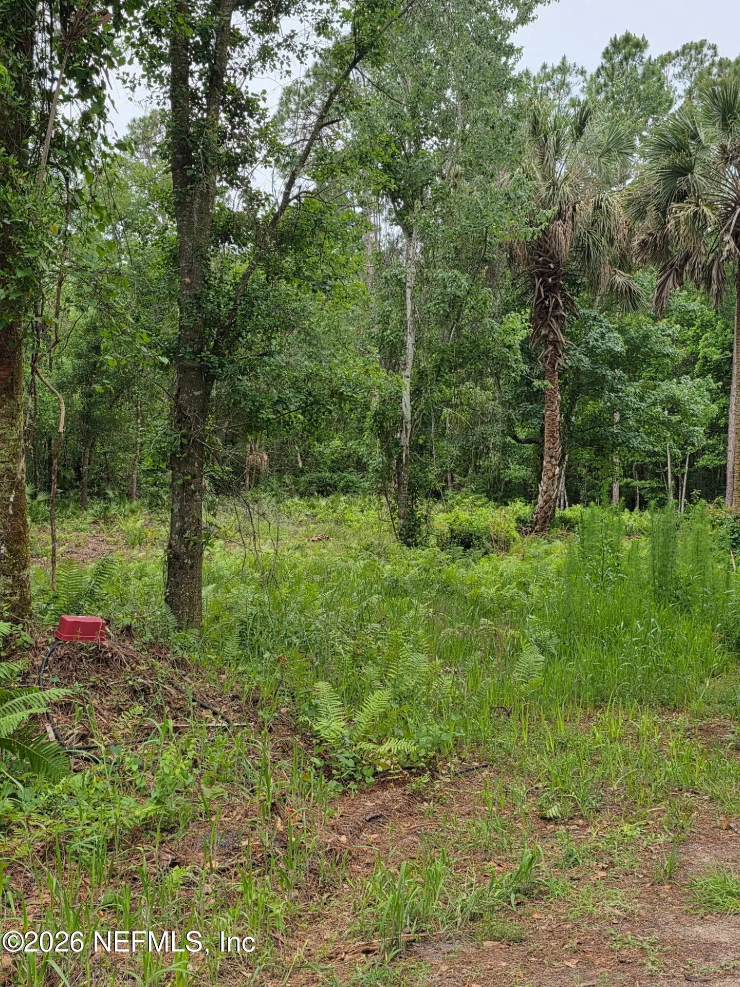 109 Anne Boulevard Georgetown FL 32139