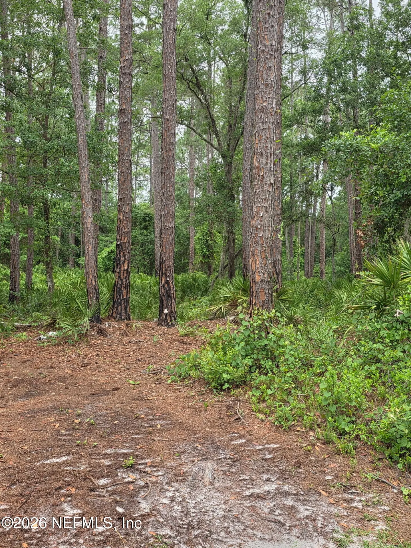 109 Anne Boulevard Georgetown FL 32139