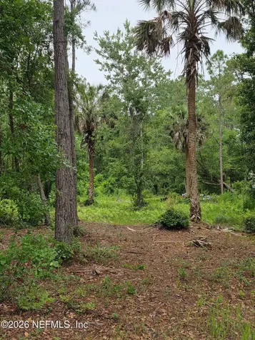 109 Anne Boulevard Georgetown FL 32139
