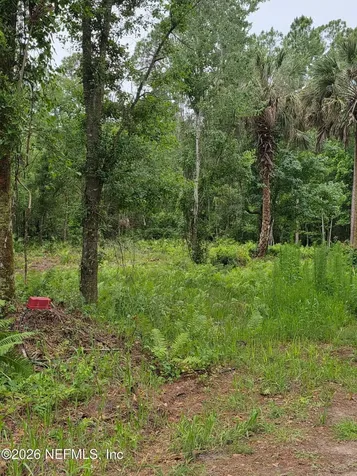 109 Anne Boulevard Georgetown FL 32139