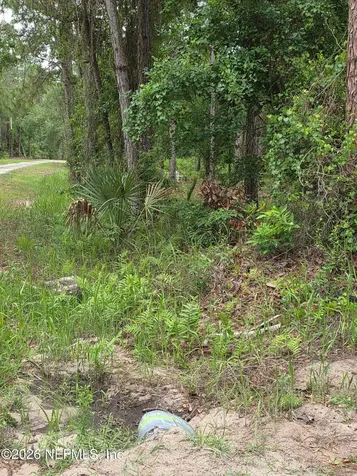 109 Anne Boulevard Georgetown FL 32139