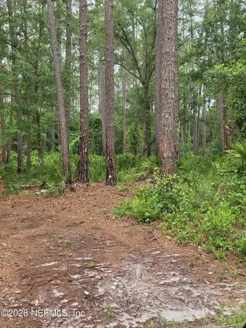 109 Anne Boulevard Georgetown FL 32139