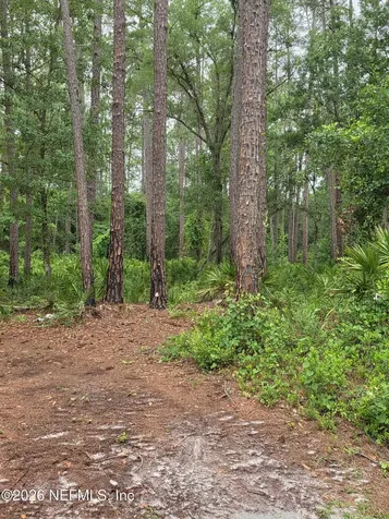 109 Anne Boulevard Georgetown FL 32139