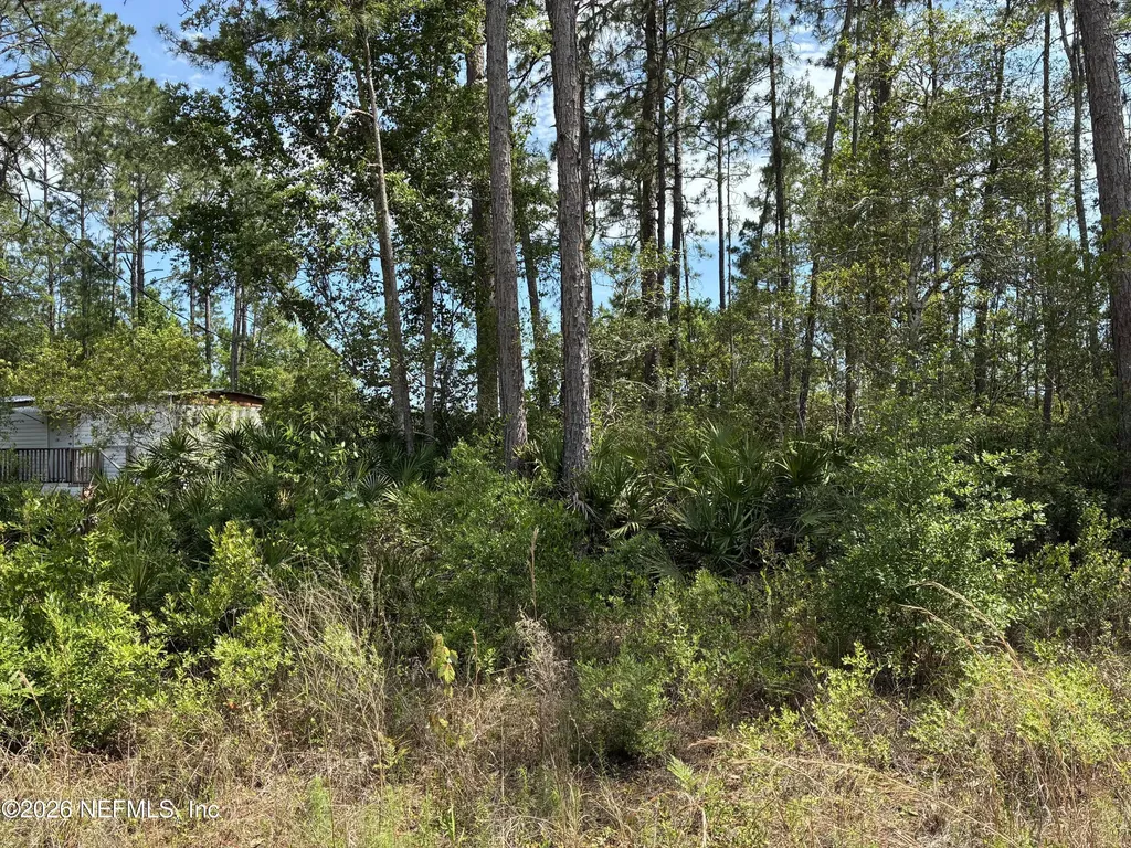000 Susan Street Interlachen FL 32148
