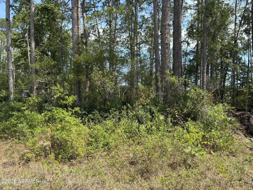000 Susan Street Interlachen FL 32148