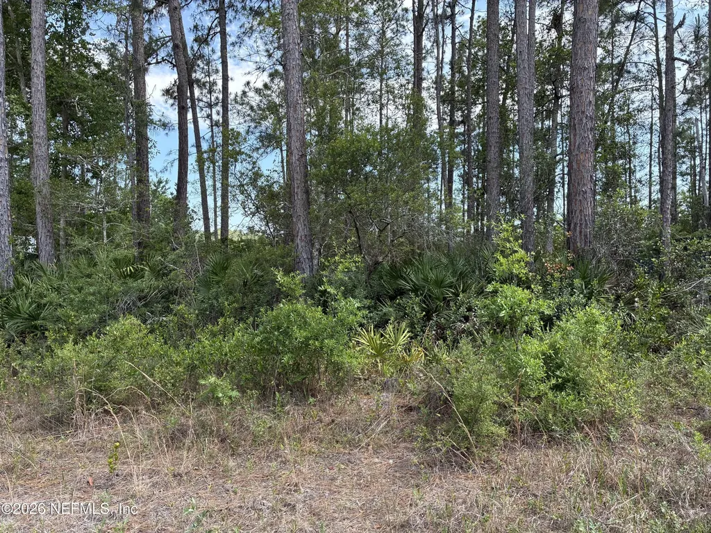000 Susan Street Interlachen FL 32148