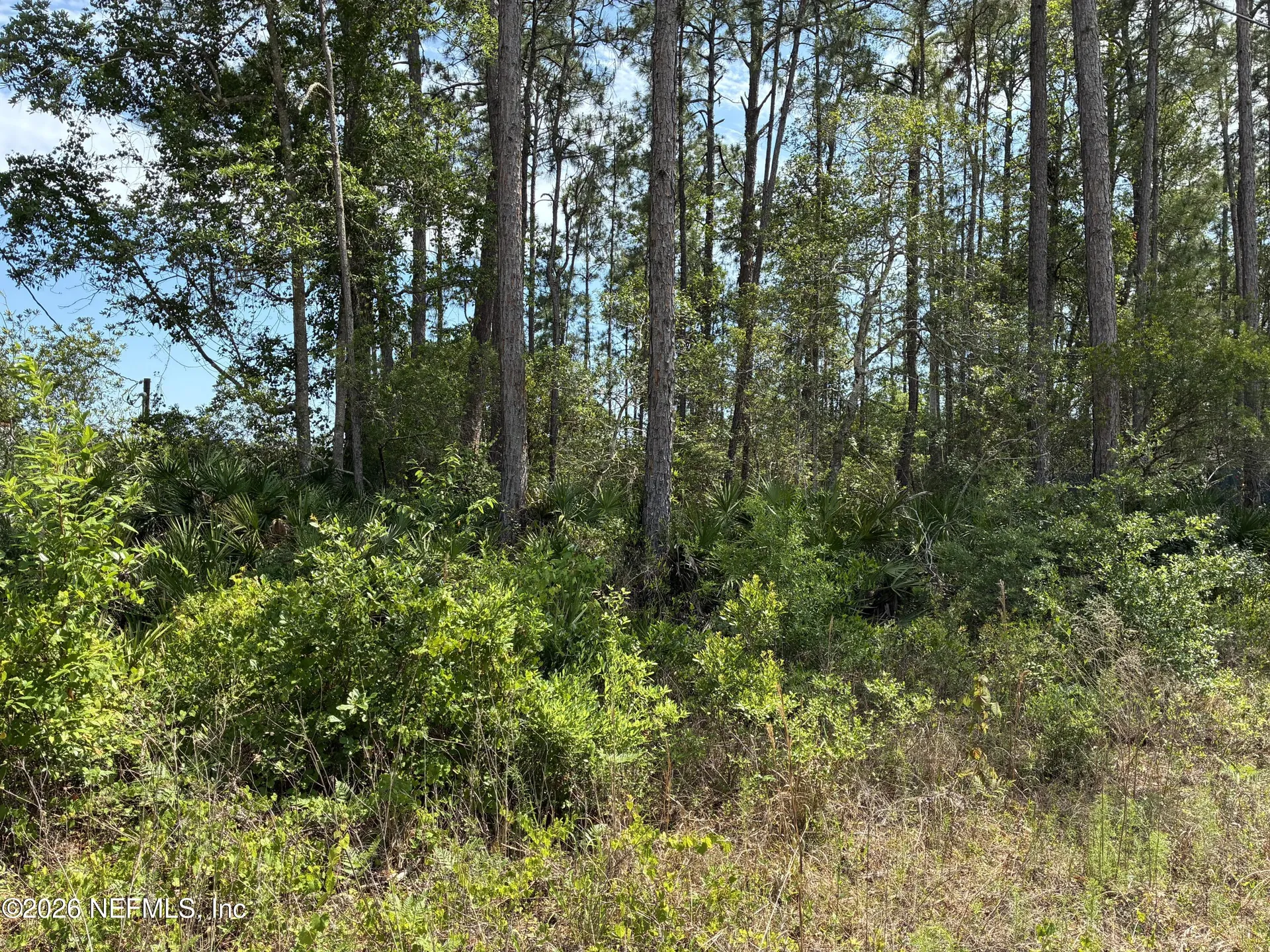 000 Susan Street Interlachen FL 32148