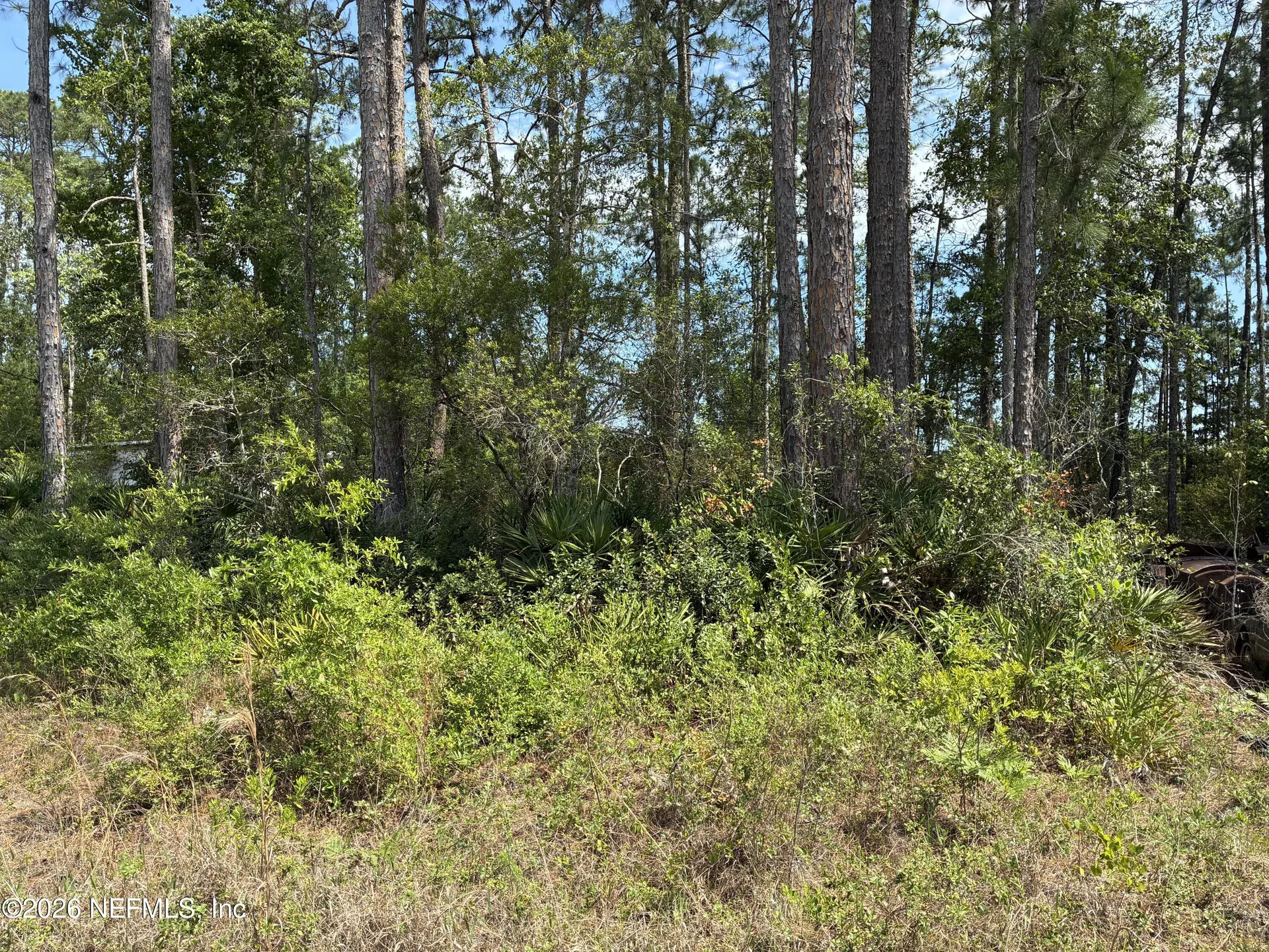 000 Susan Street Interlachen FL 32148