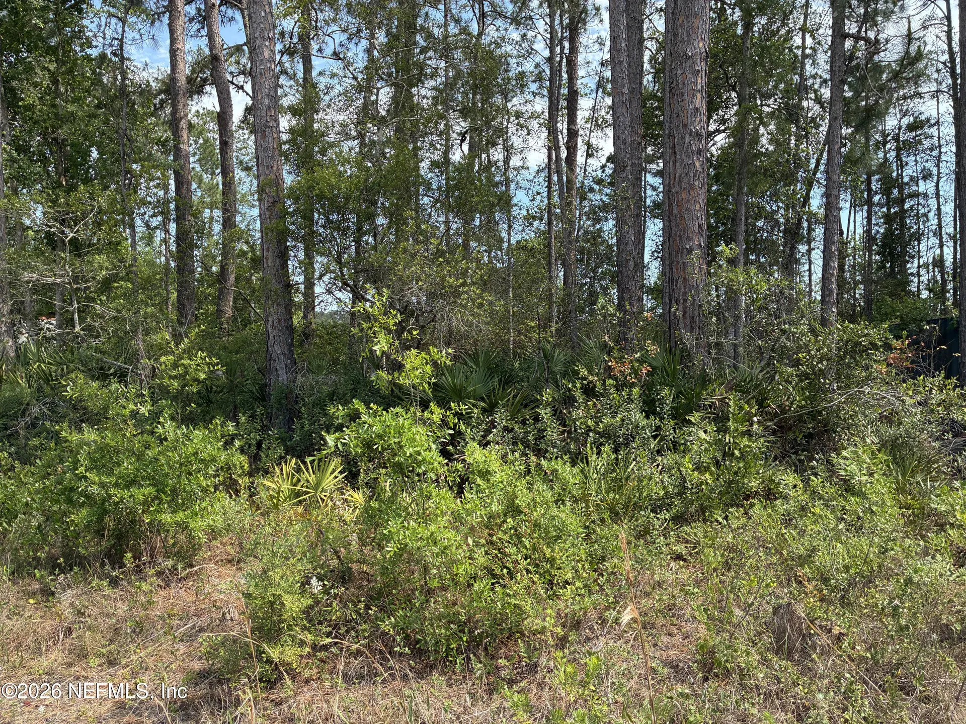 000 Susan Street Interlachen FL 32148
