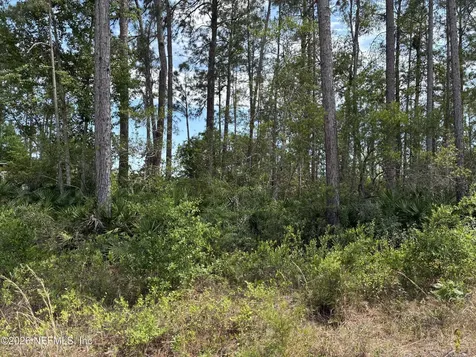 000 Susan Street Interlachen FL 32148