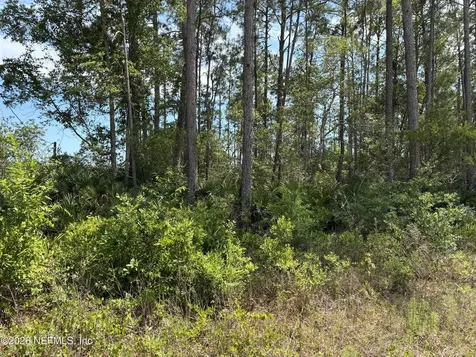 000 Susan Street Interlachen FL 32148