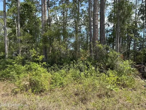 000 Susan Street Interlachen FL 32148