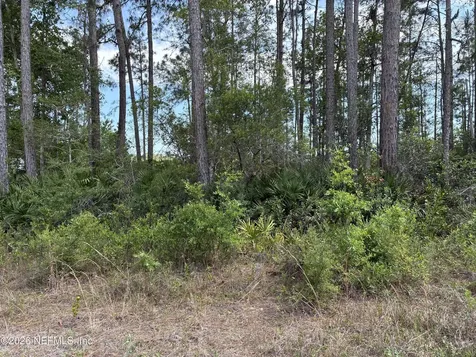 000 Susan Street Interlachen FL 32148
