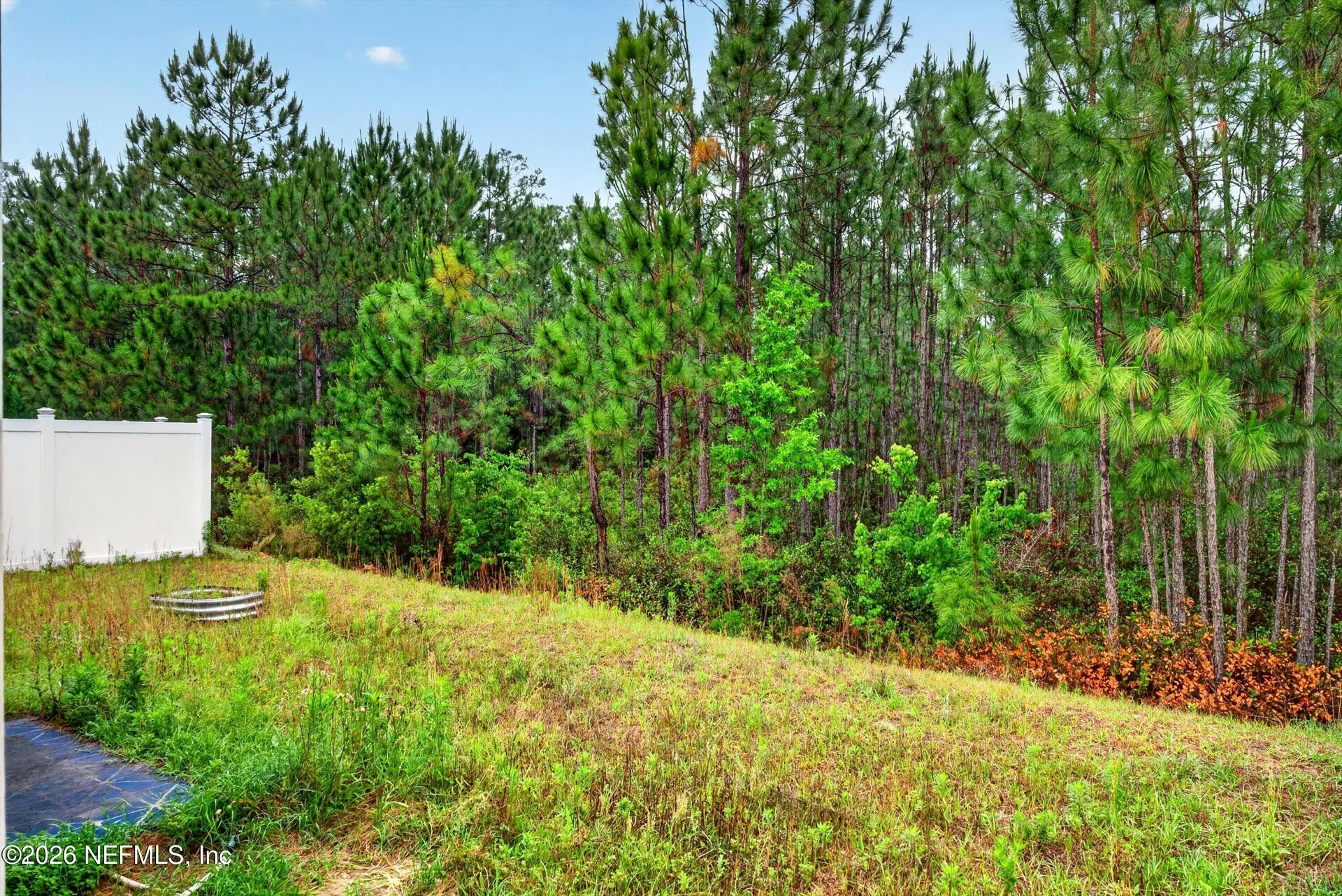 15679 Strawberry Roan Court Jacksonville FL 32234