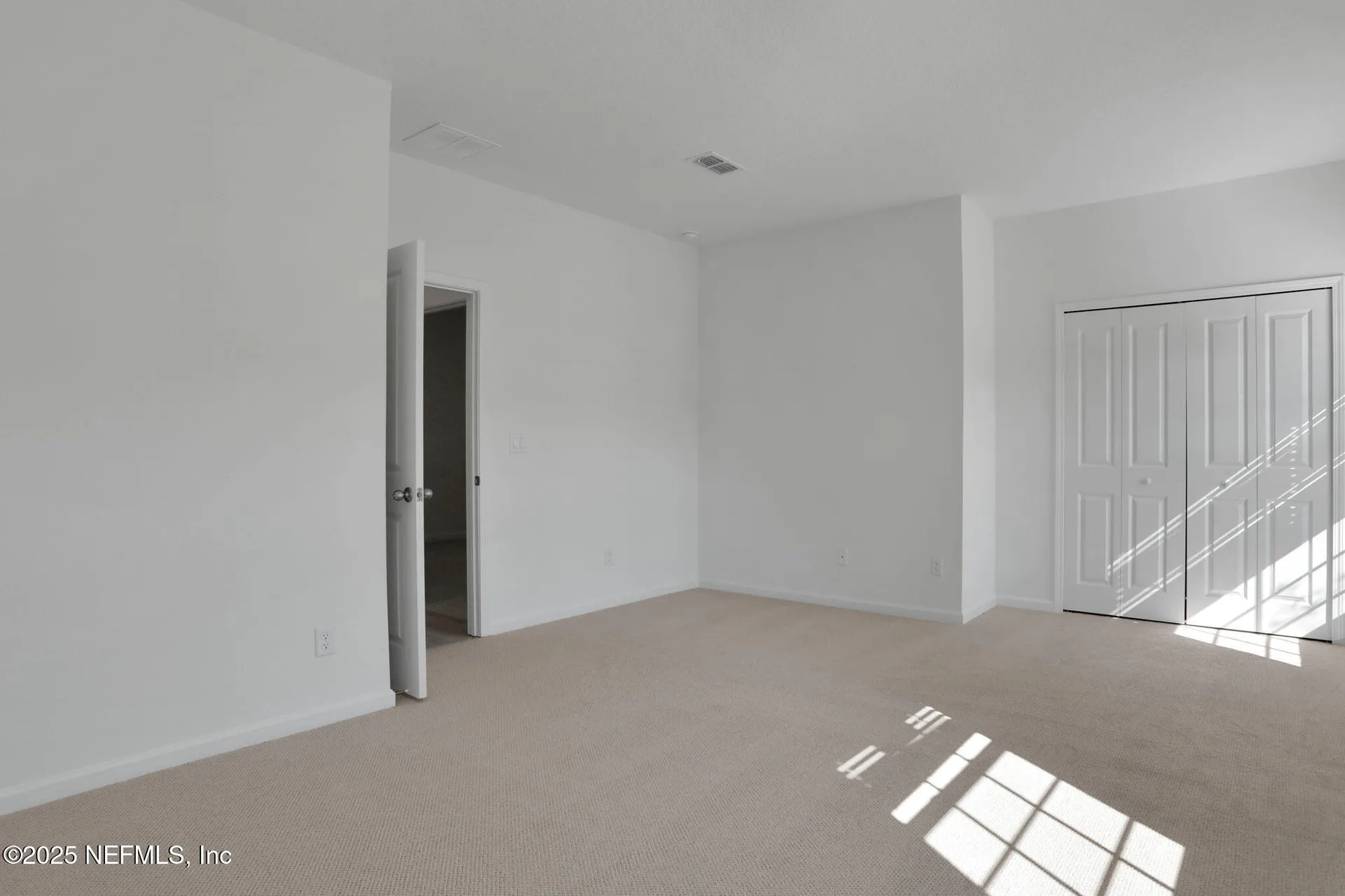 2226 Palisade Point Middleburg FL 32068