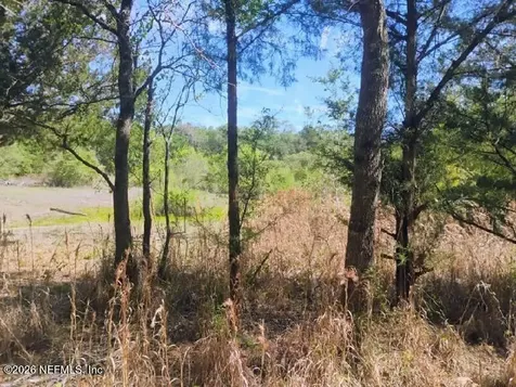 54 NE 841st Old Town FL 32680