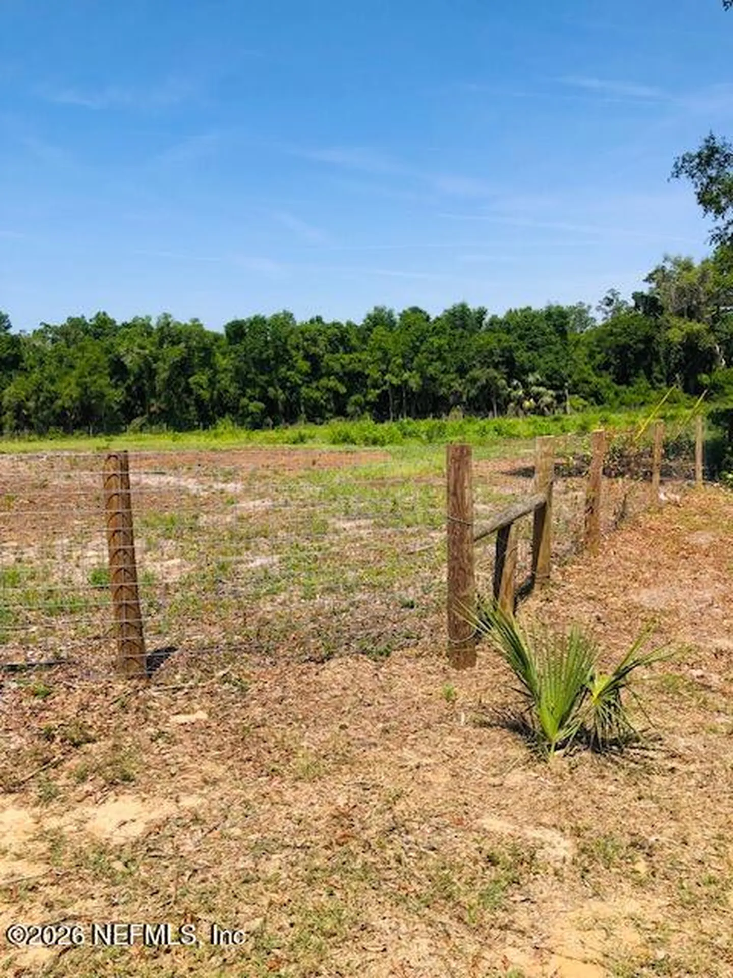 1551 State Road 100 Melrose FL 32666