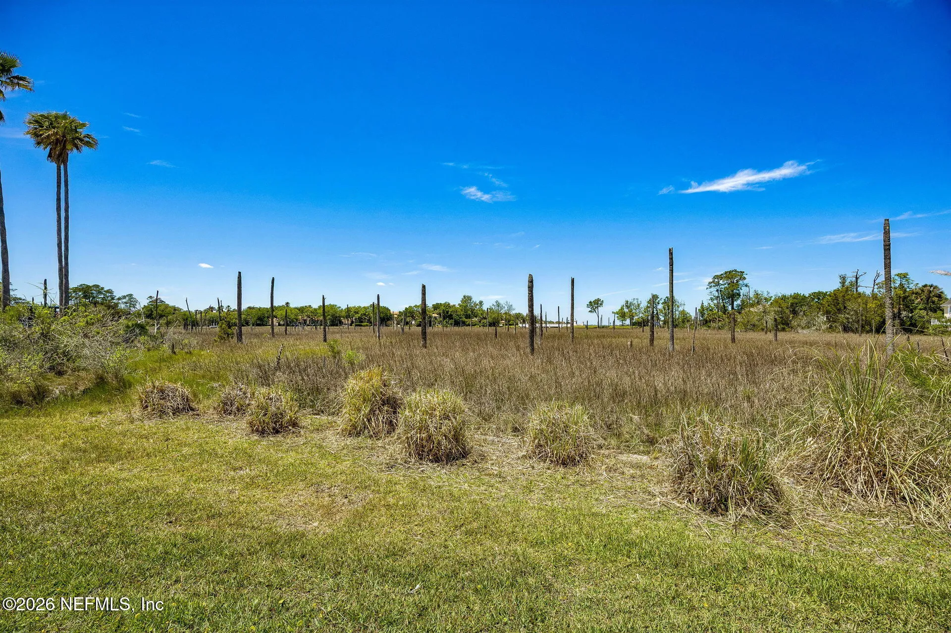 165 Indian Cove Lane Ponte Vedra Beach FL 32082