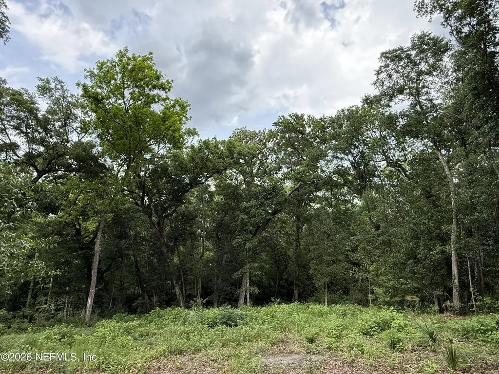 1891 Holly Oaks Ravine Drive Jacksonville FL 32225