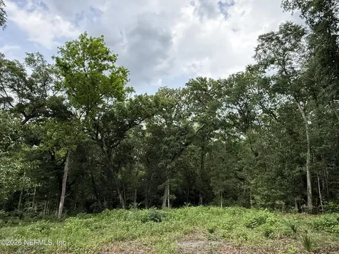 1891 Holly Oaks Ravine Drive Jacksonville FL 32225