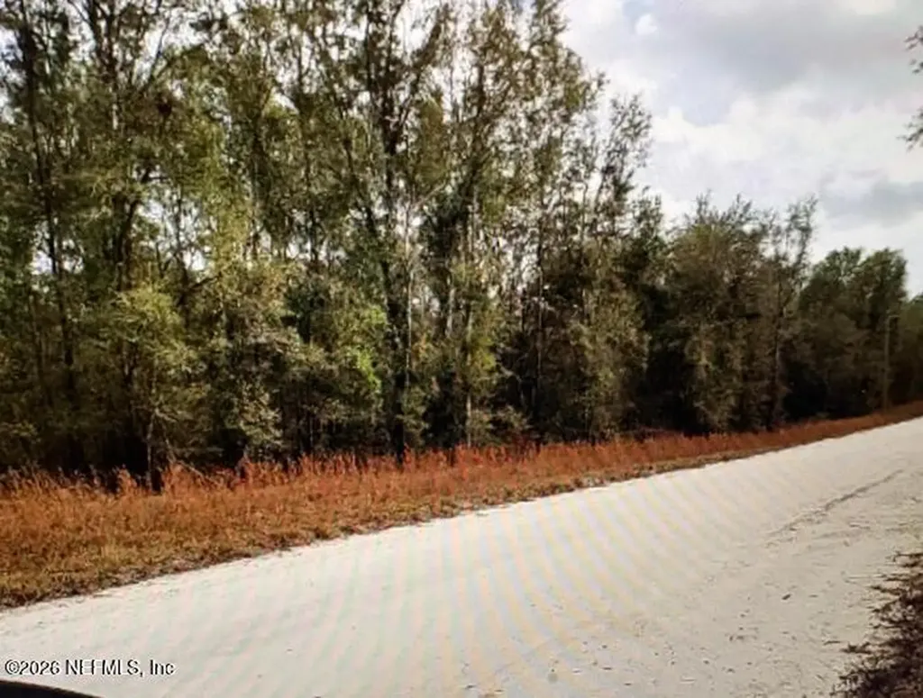 0 SE 41st Trenton FL 32693